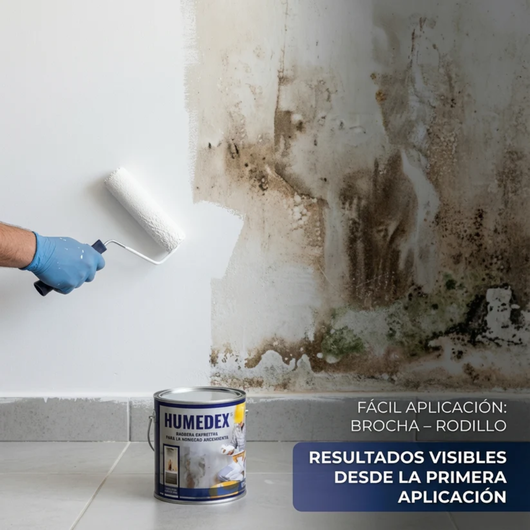 BLOQUEADOR DE HUMEDAD HUMEDEX® - Sellador antihumedad unico en el pais!